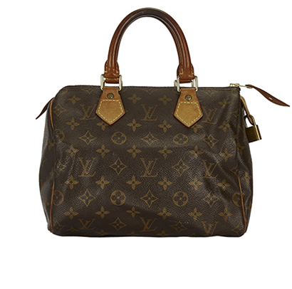 Louis Vuitton 'Speedy 25' Mono Bag, front view